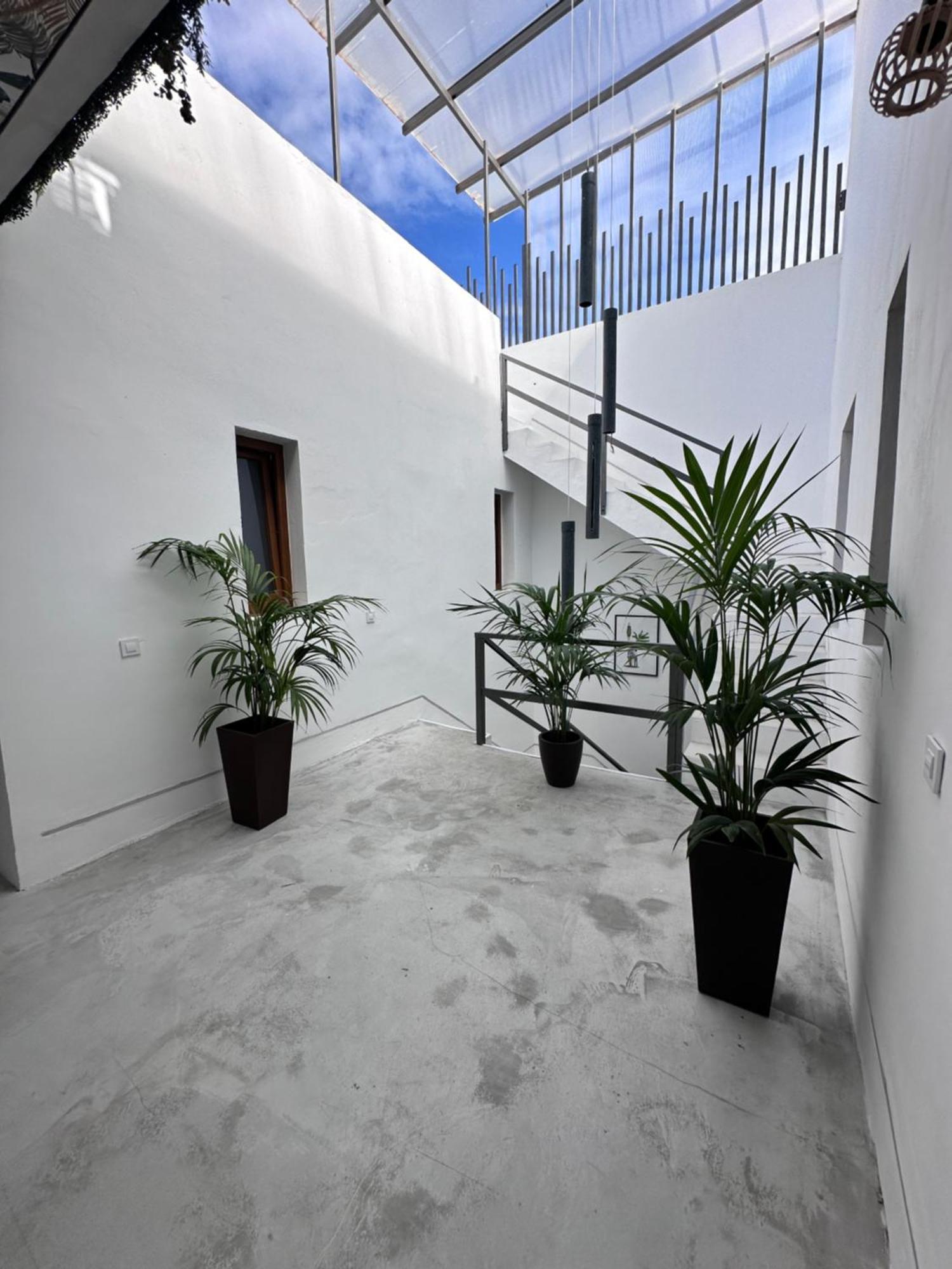Euphorbia Suites Лос-Силос Экстерьер фото